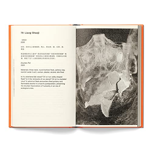 140 Artists' Ideas For Planet Earth,New