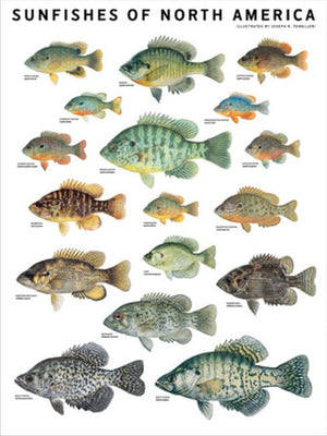Sunfishes of North America,Used