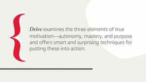 Drive: The Surprising Truth About What Motivates Us,Used