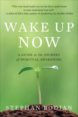 Wake Up Now,Used