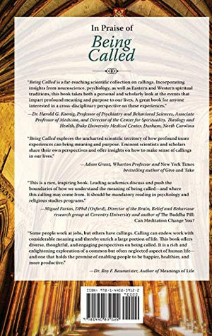 Being Called: Scientific, Secular, and Sacred Perspectives (Psychology, Religion, and Spirituality)-New