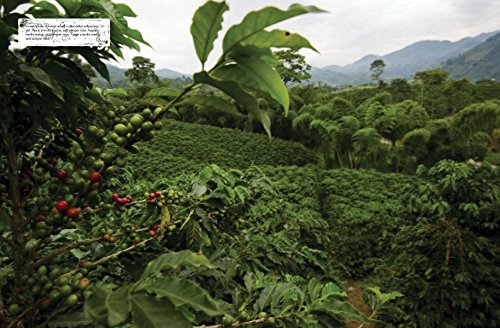 The World Atlas of Coffee: From Beans to Brewing  Coffees Explored, Explained and Enjoyed,New