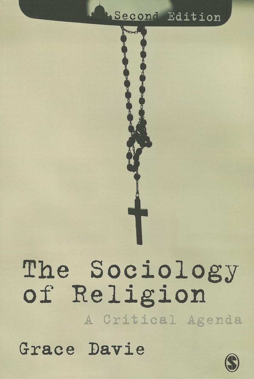 The Sociology Of Religion: A Critical Agenda,Used