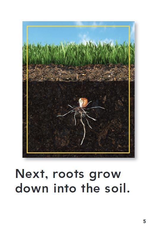 How Plants Grow (Time For Kids Nonfiction Readers)