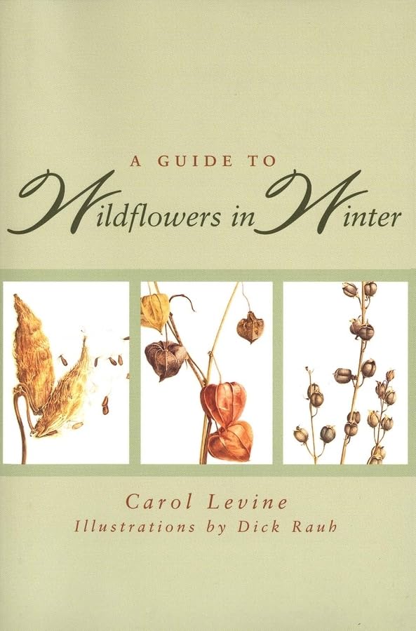 A Guide to Wildflowers in Winter: Herbaceous Plants of Northeastern North America,New