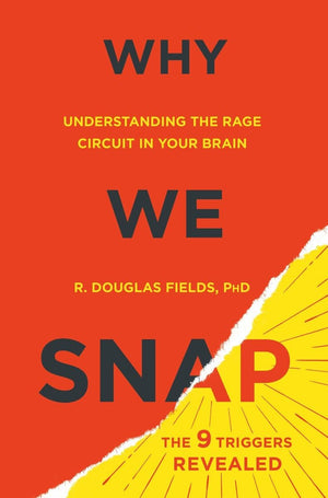 Why We Snap: Understanding the Rage Circuit in Your Brain,Used