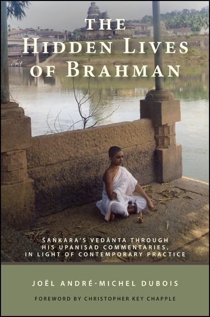 The Hidden Lives of Brahman: Sankara's Vedanta through His Upanisad Commentaries, in Light of Contemporary Practice (SUNY Series,Used