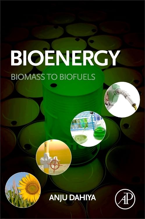 Bioenergy: Biomass to Biofuels,Used