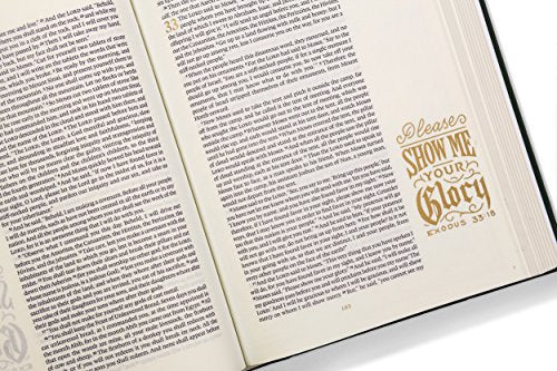 ESV Illuminated Bible, Art Journaling Edition,Used