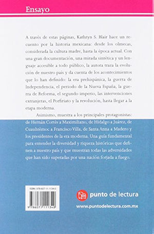 Breve relato de la historia de Mxico (Spanish Edition),Used