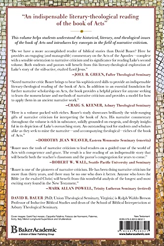 Book Of Acts As Story,New