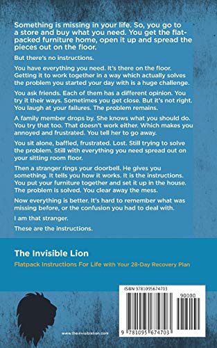 The Invisible Lion: Flatpack Instructions For Life,Used