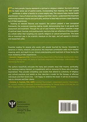 Trauma, Meaning, and Spirituality: Translating Research into Clinical Practice,Used