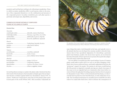 Bringing Nature Home: How You Can Sustain Wildlife With Native Plants, Updated And Expanded-used