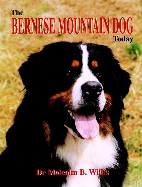 The Bernese Mountain Dog Today,Used