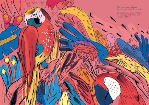 PreIntermediate to Intermediate  French Sentence Builders (The Language Gym  Sentence Builder Books),Used