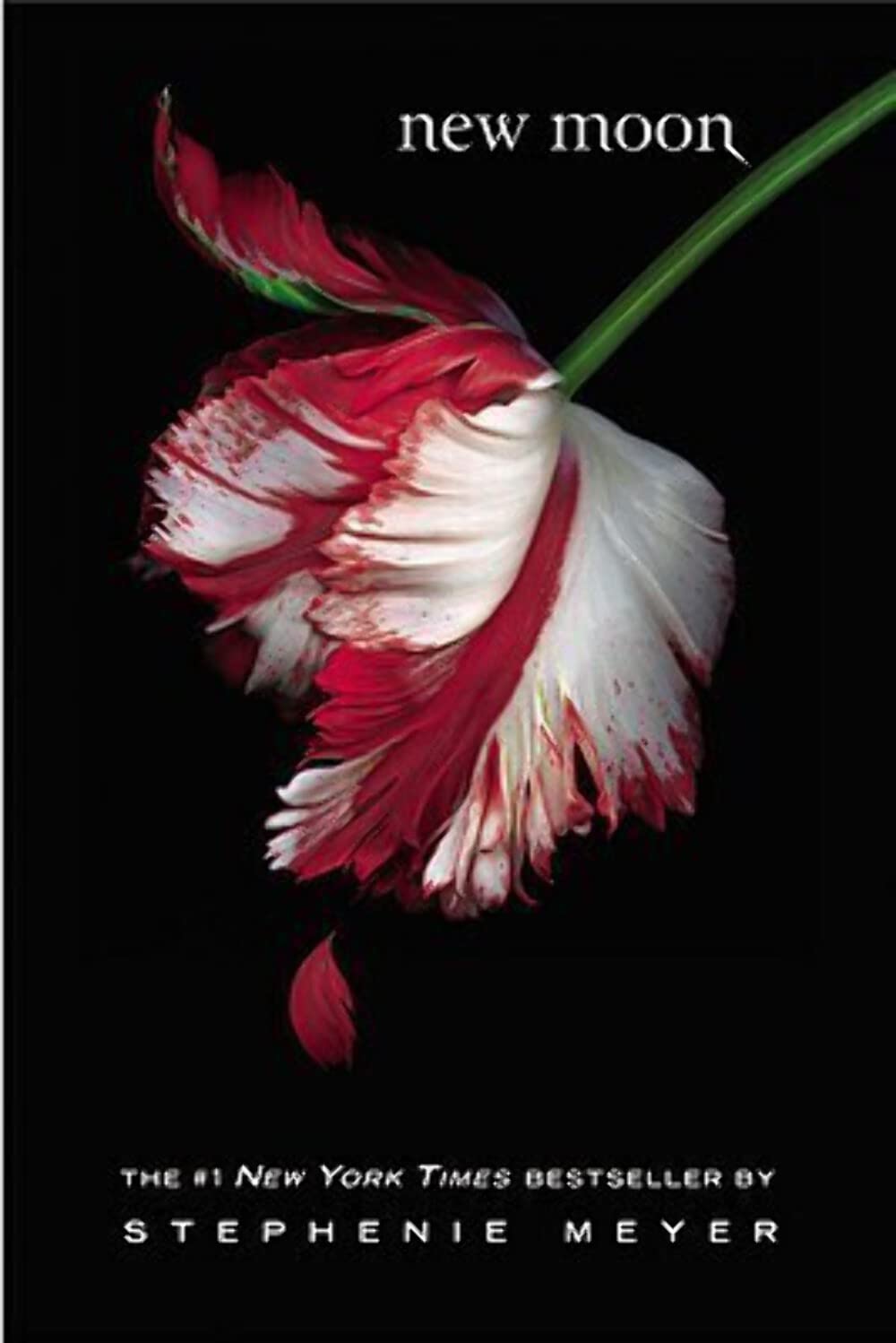 New Moon (The Twilight Saga),New