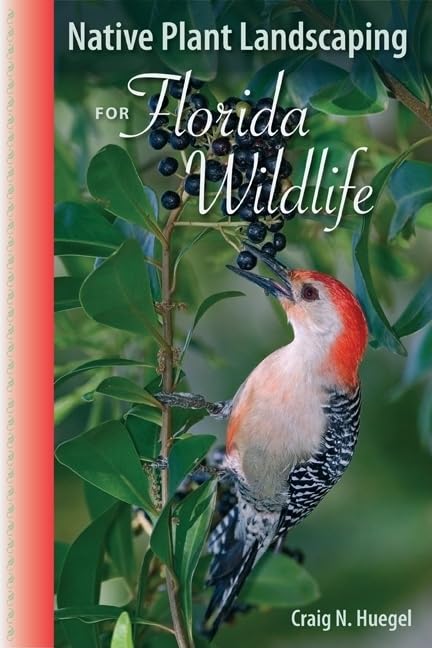 Native Plant Landscaping For Florida Wildlife,New