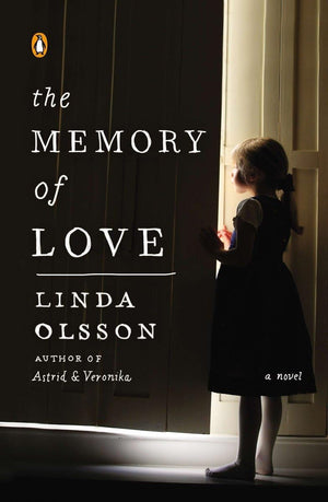 The Memory of Love: A Novel,Used