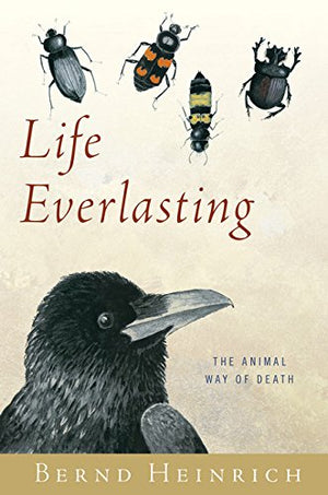 Life Everlasting: The Animal Way Of Death-new