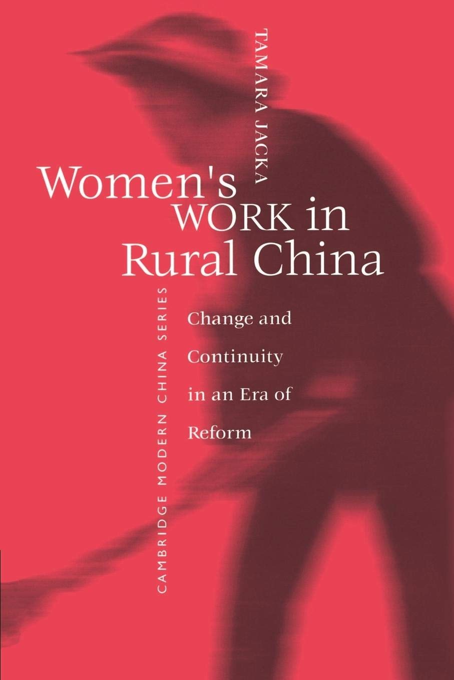 Women's Work in Rural China: Change and Continuity in an Era of Reform (Cambridge Modern China Series),New