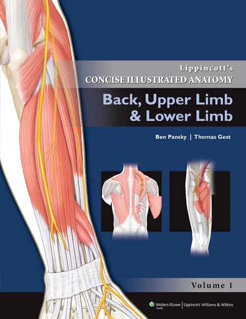 Back, Upper Limb And Lower Limb: Back, Upper Limb And Lower Limb (Volume 2) (Lippincott'S Concise Illustrated Anatomy)