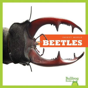 Beetles (Bullfrog Books: Insect World),Used