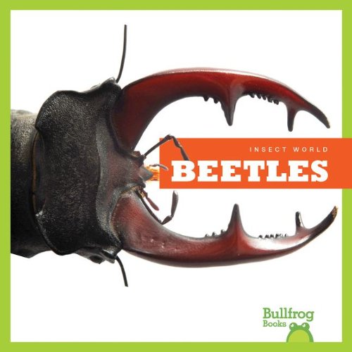 Beetles (Bullfrog Books: Insect World),Used