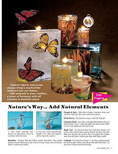 Gel Candles 101: Create Spectacular Clear Gel Wax Candles (Design Originals) Basic Instructions for Faux Drink Candles, Whipped ,Used