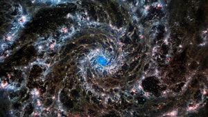 The Secret Life of the Universe: An Astrobiologist's Search for the Origins and Frontiers of Life,New