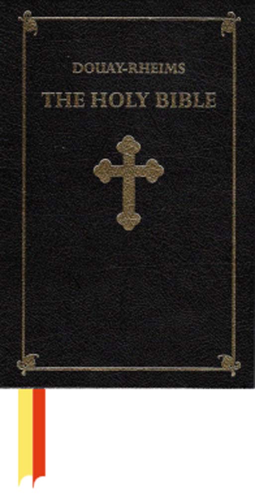 DouayRheims Holy Bible (Catholic),Used
