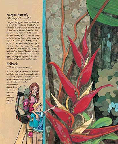The Forever Forest: Discover the Importance of Saving Our Planet in the Perfect Activist Book for Kids (Discusses Conservation, ,Used