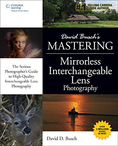 David Busch's Mastering Mirrorless Interchangeable Lens Photography,Used