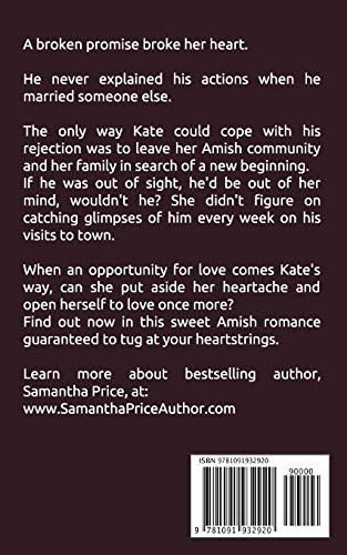 A Simple Choice (Amish Romance Secrets),Used