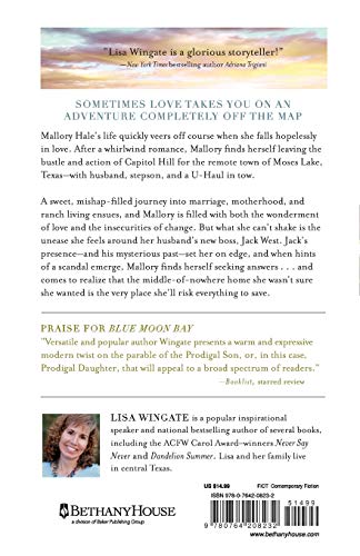 Firefly Island: A Small Town New In Town Romance With Mystery