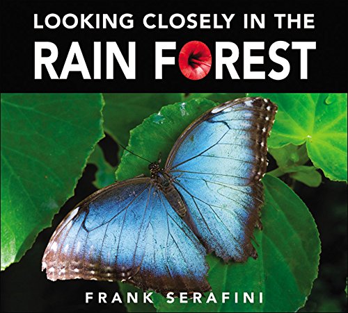 Looking Closely in the Rain Forest,Used