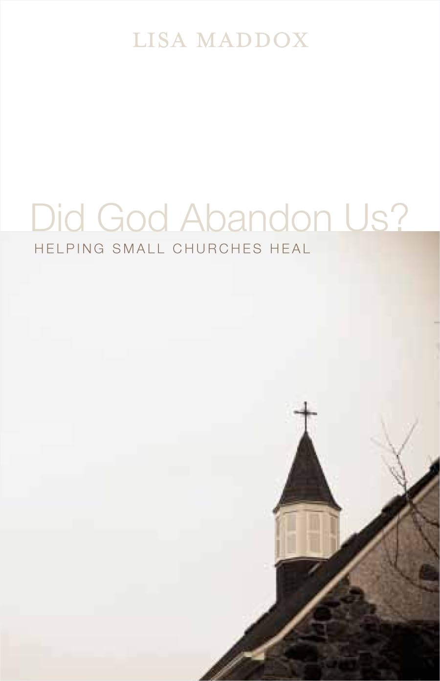Did God Abandon Us?: Helping Small Churches Heal,Used