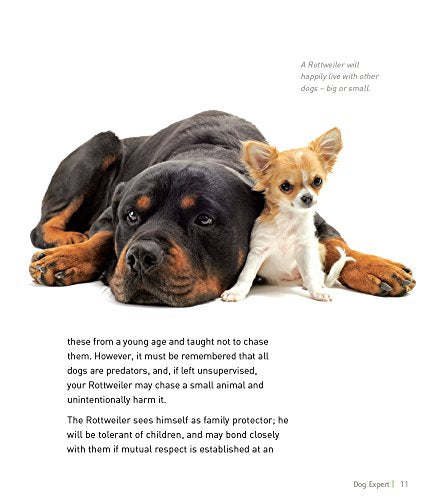 Rottweiler (Dog Expert),Used
