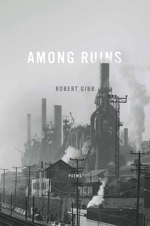 Among Ruins (Ernest Sandeen Prize in Poetry),Used