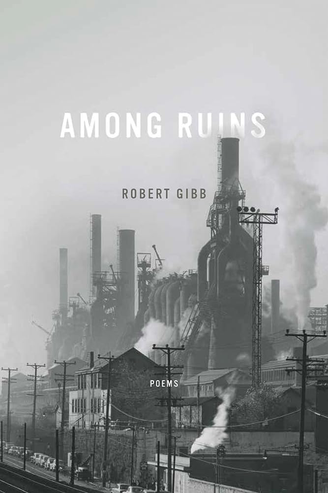 Among Ruins (Ernest Sandeen Prize in Poetry),Used