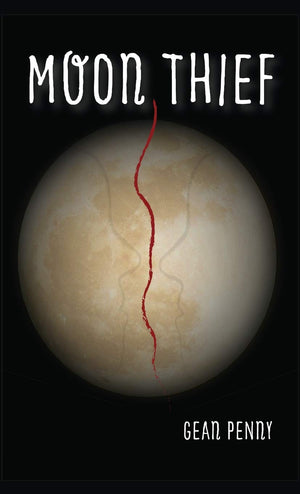 Moon Thief: An Apocalyptic Fantasy,Used