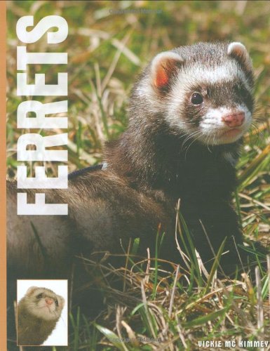 Ferrets,Used