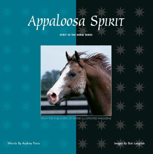 Appaloosa Spirit (Spirit Of The Horse)