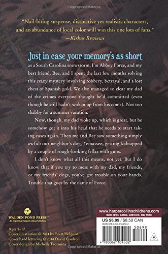 Disappearance at Hangman's Bluff (Felony Bay Mysteries, 2),Used