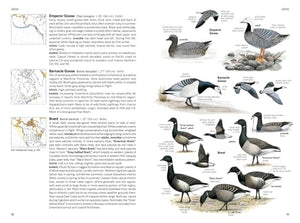 National Geographic Field Guide to the Birds of North America, 7th Edition,New