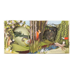 Union Square Kids A Walk Through the Woods Book - Engaging Story for Young Readers