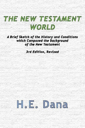 The New Testament World,Used