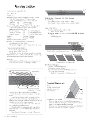 Black White & Bold: Colorful Quilt Designs with Jelly Roll Fabric Strips (Design Originals) Patterns and Instructions for Beauti,Used