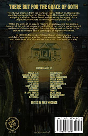 In Somnio: A Collection of Modern Gothic Horror,Used