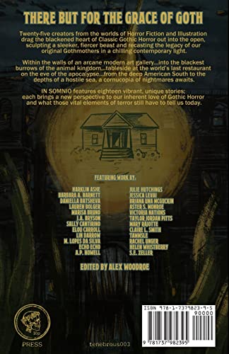 In Somnio: A Collection of Modern Gothic Horror,Used